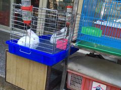 -本溪路花鸟市场(江浦路1709弄小区店)