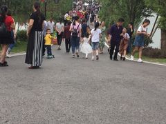 -枫香湖儿童公园