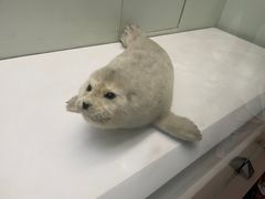 -国家自然博物馆