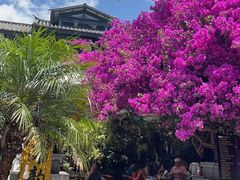 -海韵人家.海景花园经典云南菜(双廊店)