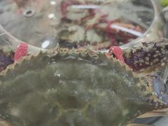 -仙螺岛海鲜自助餐厅(总店)