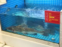 -鱼痴渔醉·食鲜集(月亮湾店)
