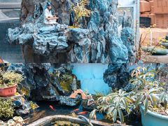 -桂林市花鸟市场