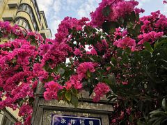 -乌山风景区
