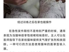 -瑞派申生动物医院·24H夜诊·国际动物医疗中心·骨外科(吴中路店)