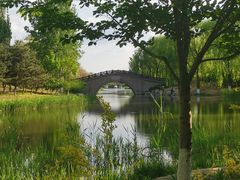 -大兴滨河森林公园