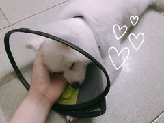 -有章牛杂(石厦店)