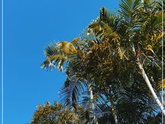 -广州从化都喜泰丽度假酒店温泉