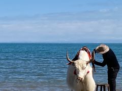 -青海湖国家重点风景名胜区