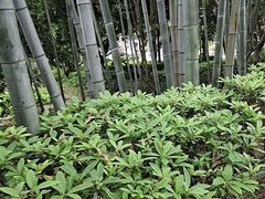 -故乡缘·香格里拉山庄(冷竹路店)