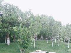-东升文体公园
