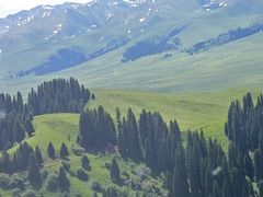 -新疆那拉提国家旅游度假区