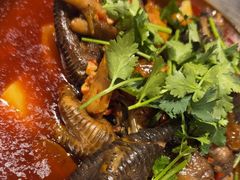 -陈胖子特色菜.鲜货现炒(融景城店)