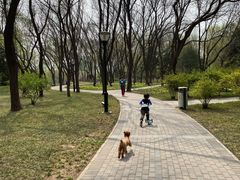 -玲珑塔公园