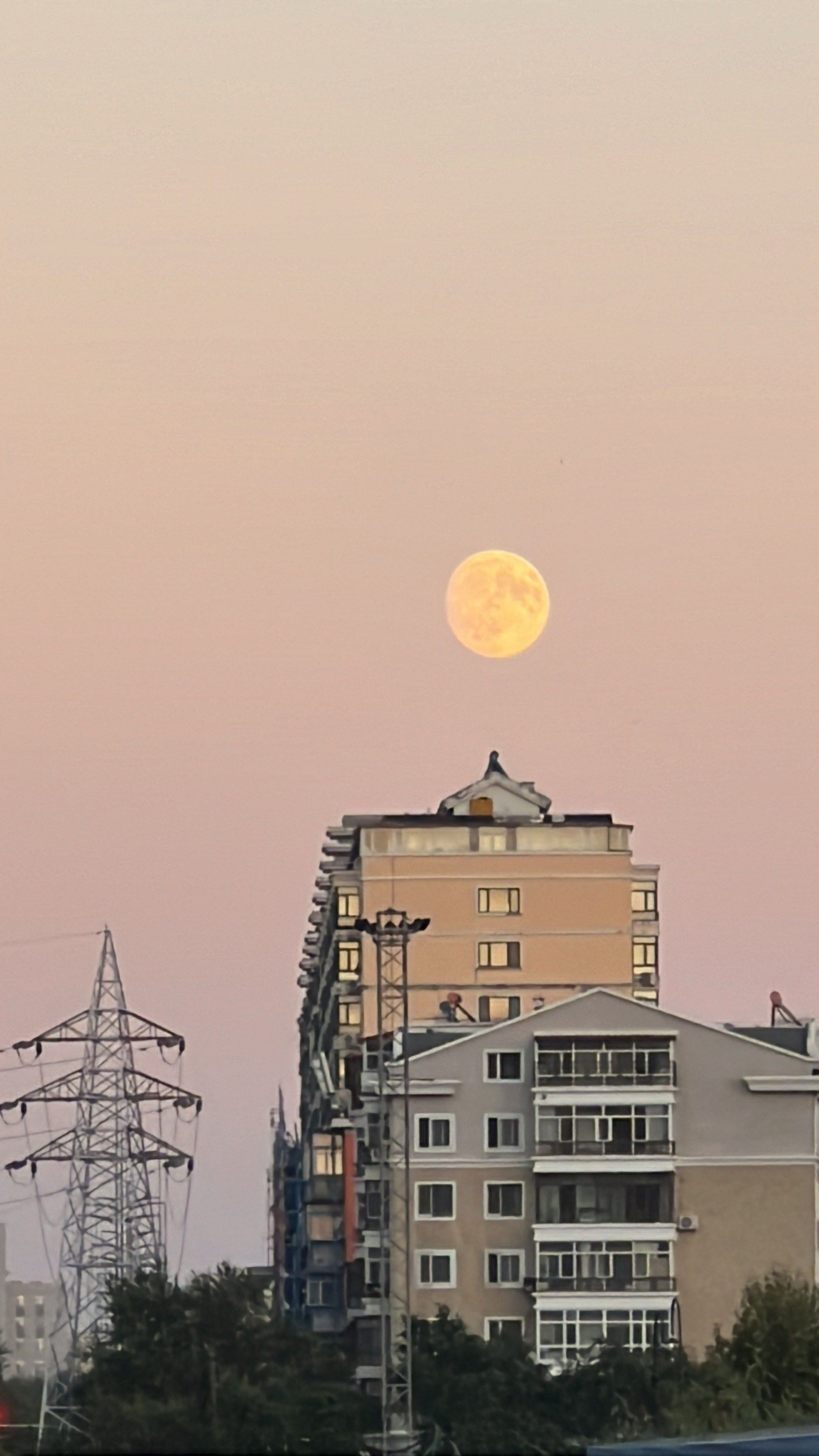 这是八月十四的月亮🌜