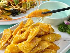 -新味都博山菜