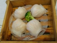 -鹅城