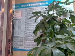 -牛学教育雅思托福PTE·小语种培训(小寨校区)