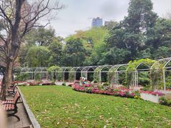 -九龙公园