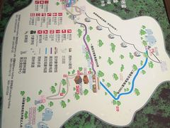 -野象谷景区