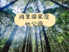 -同里国家湿地公园