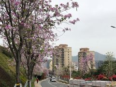 -小南山公园