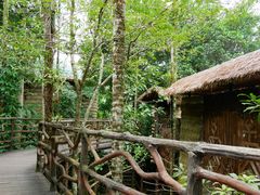 -海南槟榔谷黎苗文化旅游区
