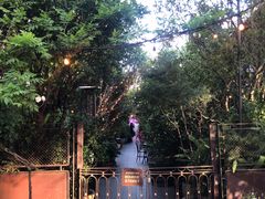-The Grounds of Alexandria
