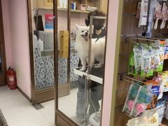 -FAELING PETS美天灵宠物(富力广场店)