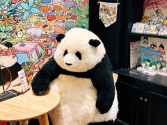 -轩客会(熊猫书店)