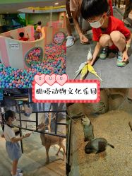 -酷嗒动物文化乐园(cutezoo西溪乐天城店)