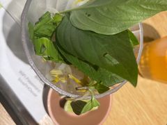-蔡澜Pho·越南粉餐厅(海上世界店)