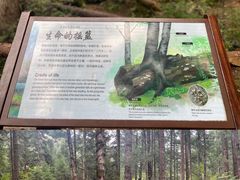 -九寨沟风景区