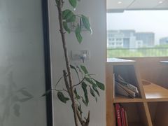 -Cafe Mersey默西咖啡(西交店)