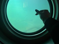 -白鹤梁水下博物馆