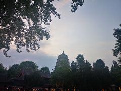 -大雁塔北广场音乐喷泉