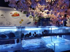 -特色酱椒鱼私房菜(黄鹤楼店)