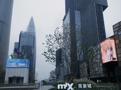 -深圳湾万象城(南山店)