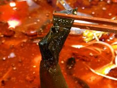 水煮活鱼-蜀都丰 川菜·水煮活鱼(万象九宜城店)