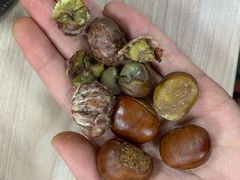 -方林富炒货店(西溪路78号本人店)
