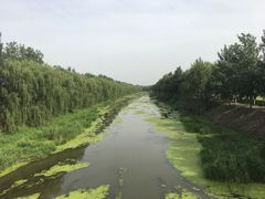 -东郊湿地公园
