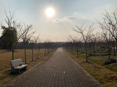 -上海海湾国家森林公园