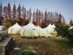 -前小桔亲子创意农场·草莓采摘·露营烧烤