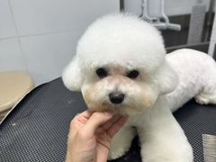 -八公叔叔宠物美容连锁(春申店)