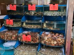 水产区-北戴河庆山饭店·海鲜砂锅粥(北戴河黑石路店)