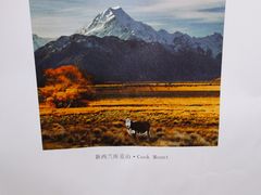 -我是酸奶君(壹方城店)