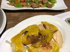 -百福麵家(新馬路店)