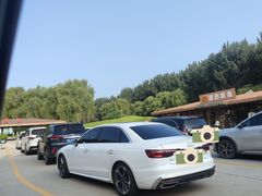 -北京野生动物园
