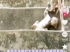 -昆明动物园