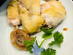 -欢乐海岸美食联盟